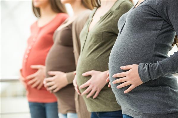 نمای جانبی سه زن باردار در حال لمس شکم با دست هستند مفهوم زایمان