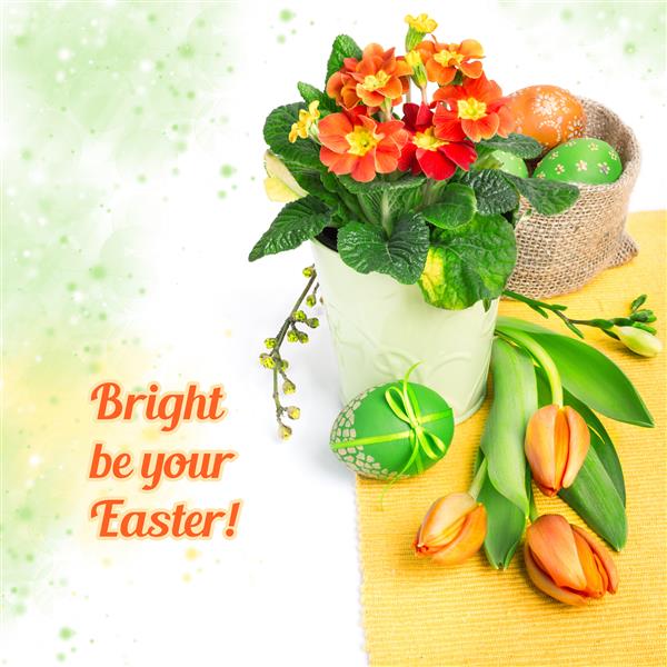 حاشیه عید پاک با لاله های نارنجی گل پامچال و تزئینات بهاری فضای متن شما