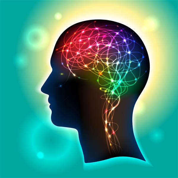مشخصات سر انسان با نمادی رنگارنگ از سلولهای عصبی در مغز