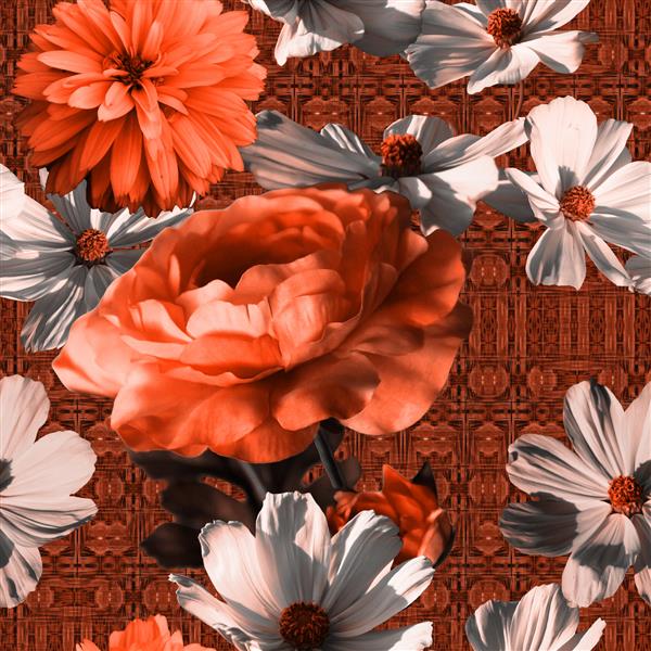 الگوی یکپارچه گرافیکی تک رنگ و آبرنگ گل بدون رنگ با گل صد تومانی نارنجی و استرهای نارنجی و سفید در زمینه داماسک