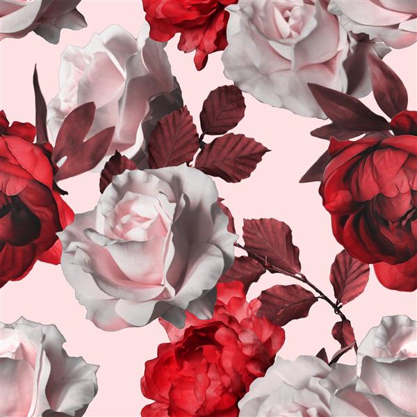 نقاشی بدون رنگ آراسته قرمز تک رنگ قرمز گل رز سفید در زمینه گل رز سفید
