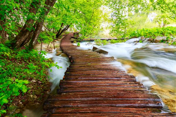 مسیر چوبی در پارک ملی در پلیتویس در کرواسی