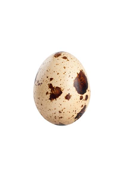 تخم مرغ بلدرچین که روی زمینه سفید قرار دارد ماکرو