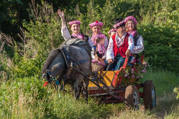 بلغارستان مراسم گلاب گیری افرادی که لباس سنتی محلی پوشیده اند