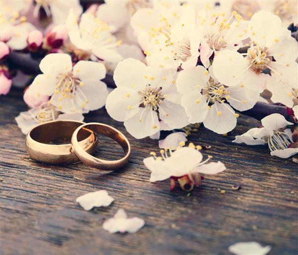 حلقه های ازدواج بهار شاخه گلدار با گلهای ظریف سفید روی سطح چوبی