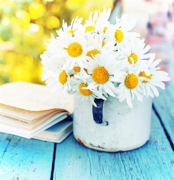 گلهای زیبای دیزی تابستانی با کتاب در زمینه چوبی