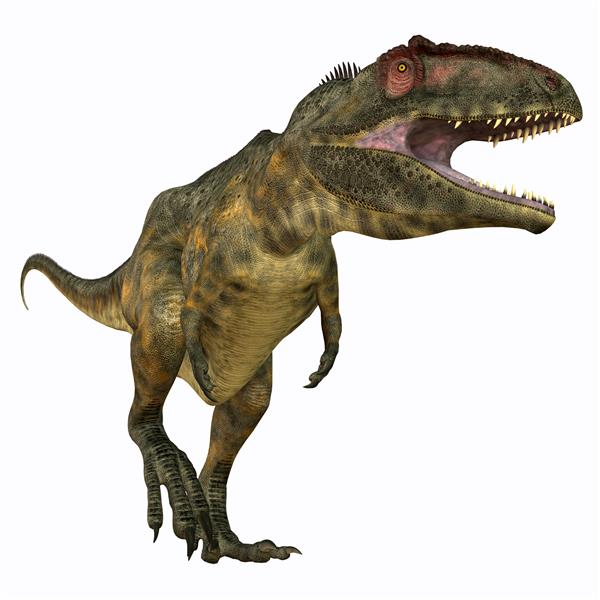 گیگانوتوسوروس یک دایناسور گوشتخوار تروپود بود