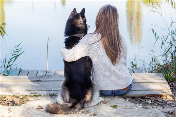 نمای عقب دختر و سگ هاسکی در کنار دریاچه نشسته است