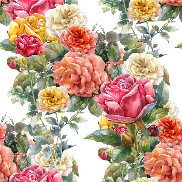 تصویر نقاشی با آبرنگ از گل رز قرمز الگوی بدون درز روی زمینه سفید