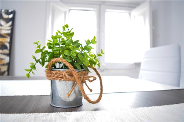 گیاه سبز در یک گلدان فلزی طناب گره خورده روی میز چوبی