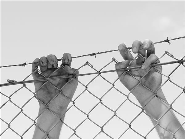 دستان آلوده و چسبیده به حصار سیم خاردار فولادی سیاه و سفید استرالیا