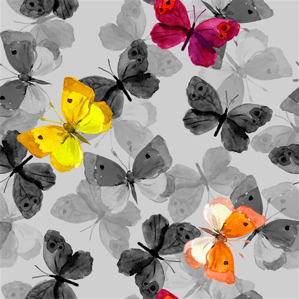 پروانه های رنگارنگ در پس زمینه خاکستری الگوی بدون درز آبرنگ