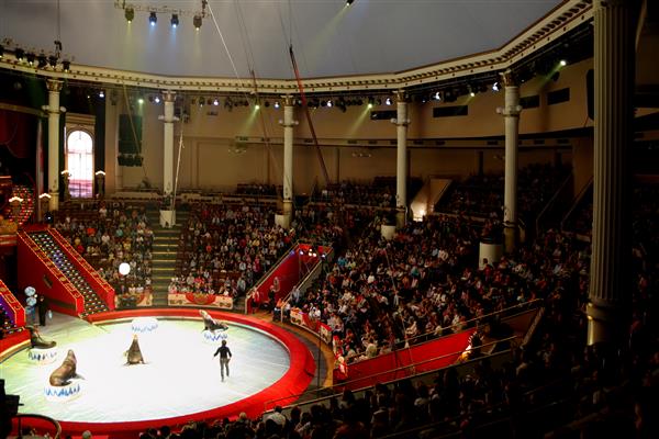 مسکو - صحنه آبی در مسکو اجرای سیرک نیکولین با مهر و بازیگر