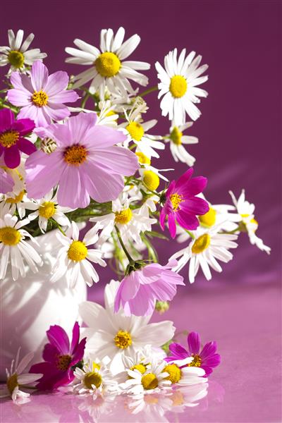 دسته گل گل مروارید در یک گلدان سفید