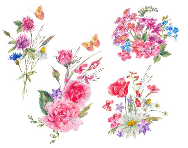 مجموعه آبرنگ دسته گل تابستانی از گگلهای وحشی پروانه ها گل رز