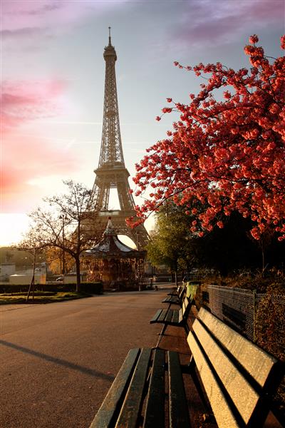 صبح بهار با برج ایفل پاریس فرانسه