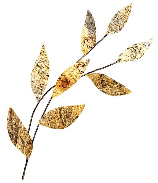 نقاشی آبرنگ شاخه با برگ و گل تصویر گیاه شناسی