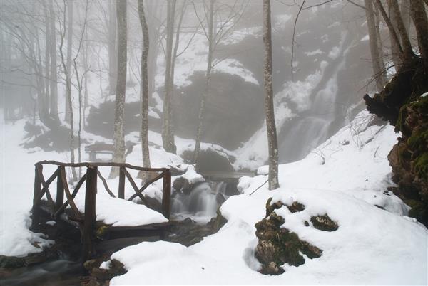 پل چوبی نزدیک آبشار پوشیده از برف