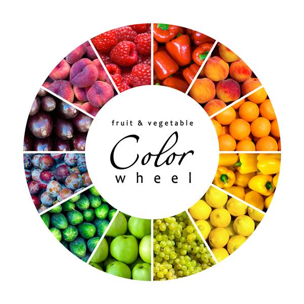 چرخ رنگ میوه و سبزیجات 12 رنگ