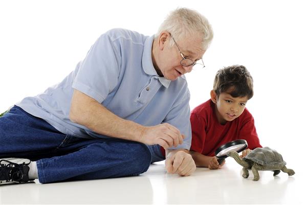 یک کودک و پدربزرگش در حال بررسی یک لاک پشت جعبه ای با یک ذره بین هستند روی زمینه سفید