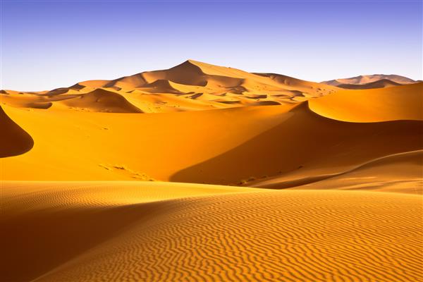 چشم انداز کویری مراکش با آسمان آبی پس زمینه تپه های شنی