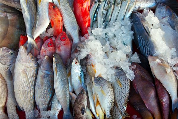 ماهی خام در پیشخوان بازار