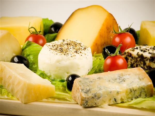 انواع پنیرهای مختلف