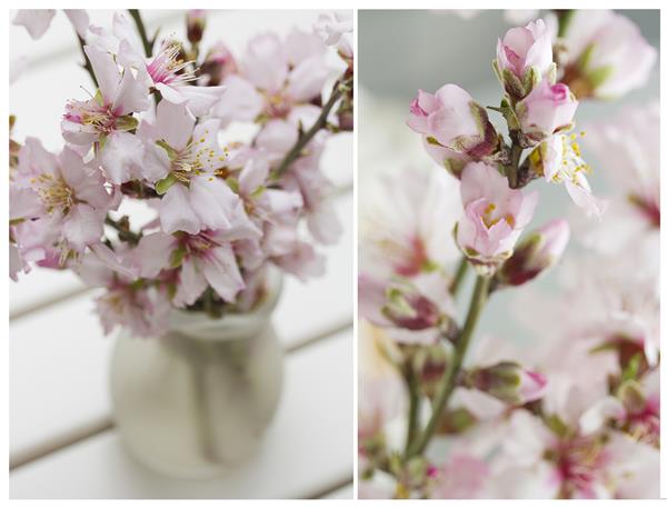 کلاژ با دسته گلهای شکوفه بادام در زمینه سفید چوبی