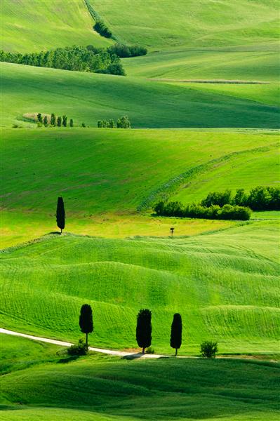 مناظر سرو معمولی با رنگ سبز زیبا برای توسکانی ایتالیا