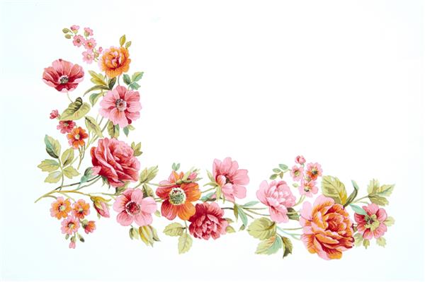 تصویر رنگی از گل ها در نقاشی های آبرنگ در زمینه سفید