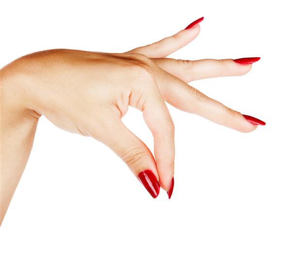 دست زیبا از یک زن جوان با مانیکور قرمز با انگشتان پرش مانند اینکه چیزی را روی زمینه سفید نگه داشته است