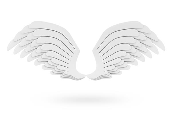 بالهای سفید فرشته جدا شده روی زمینه سفید