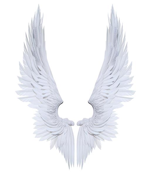 تصویر سه بعدی بال فرشته پرهای بال سفید جدا شده در زمینه سفید
