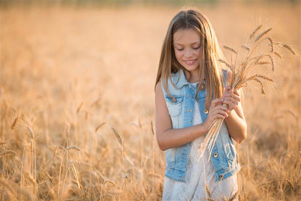 دختر بچه بلوند زیبا و زیبا با لباس شلوار جین در مزرعه گندم غروب طلایی تابستان