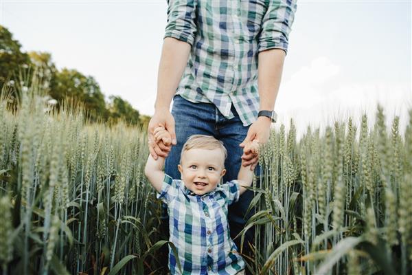مرد پسرش را در دست خود در میان مزرعه گندم نگه می دارد
