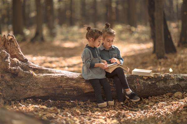 دو دختر بچه در جنگل کتاب می خوانند