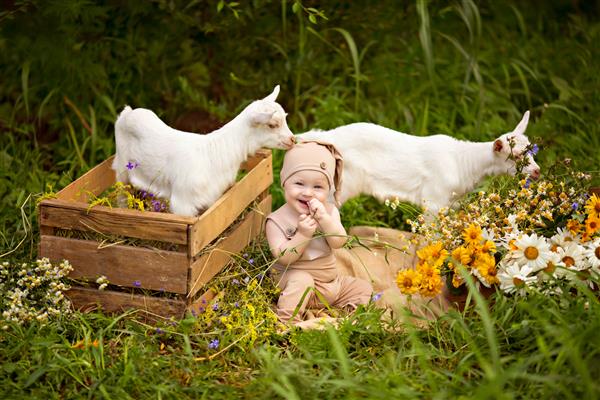 پسر بچه شاد با بزهای سفید در بهار روی طبیعت روستا با سبزه و گل