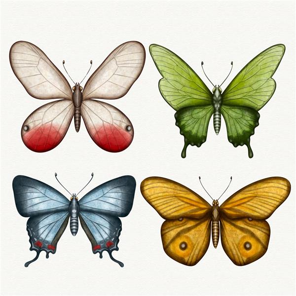 مجموعه ای از پروانه های مختلف آبرنگ