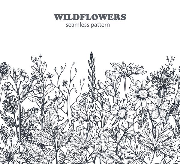 الگوی بدون درز با گیاهان و گلهای دستی کشیده در زمینه سفید