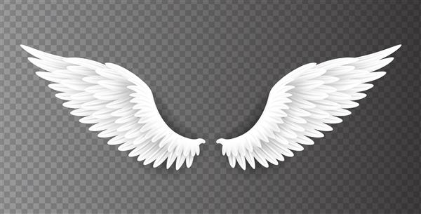 یک جفت بال زیبا از فرشته سفید جدا شده در زمینه شفاف تصویر واقع گرایانه سه بعدی معنویت و آزادی