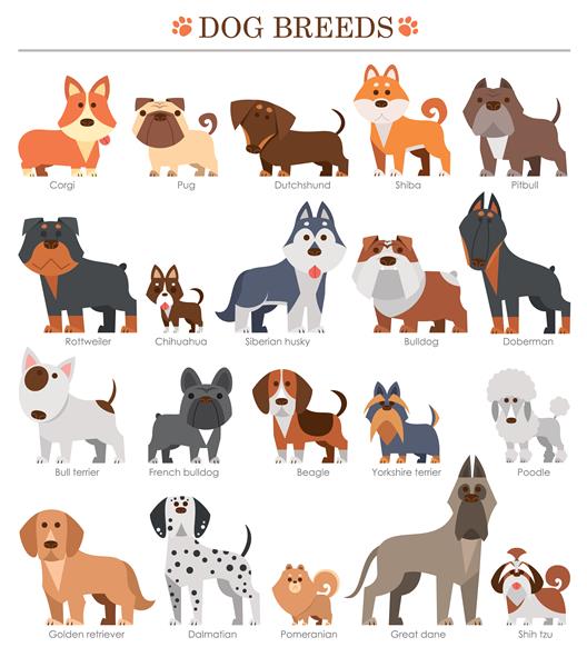 مجموعه نژادهای سگ کارتونی سگ بامزه