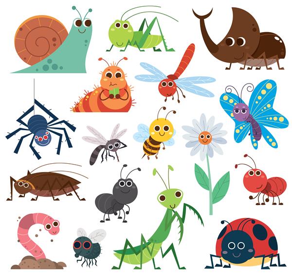 مجموعه حشرات زیبا حشرات کارتونی