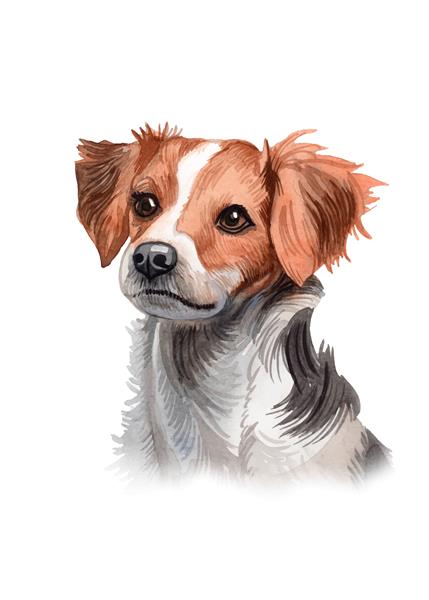 نقاشی آبرنگ با تصویر سگ زیبا