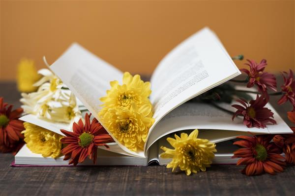 کتاب و گل های زیبا و خیال پردازی زندگی