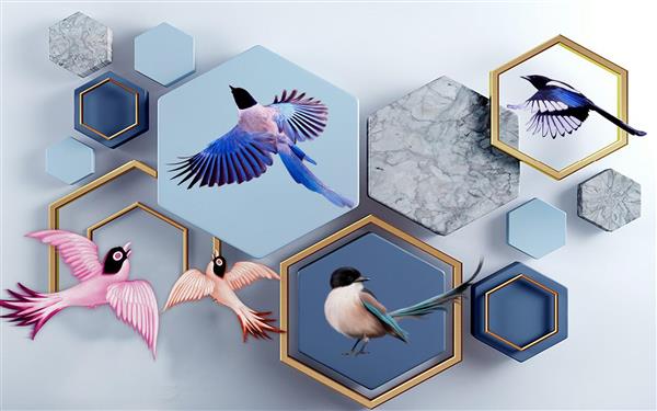 پوستر سه بعدی قاب های شش ضلعی و پرندگان رنگارنگ