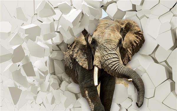 طرح سه بعدی دیوار شکسته و فیل