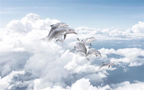 طرح سه بعدی دلفین ها بر فراز ابرهای سفید در آسمان