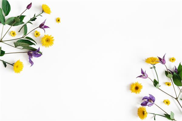 ترکیب گلها گل های زرد و بنفش در زمینه سفید مفهوم بهار عید پاک تخت خواب نمای بالا فضای کپی