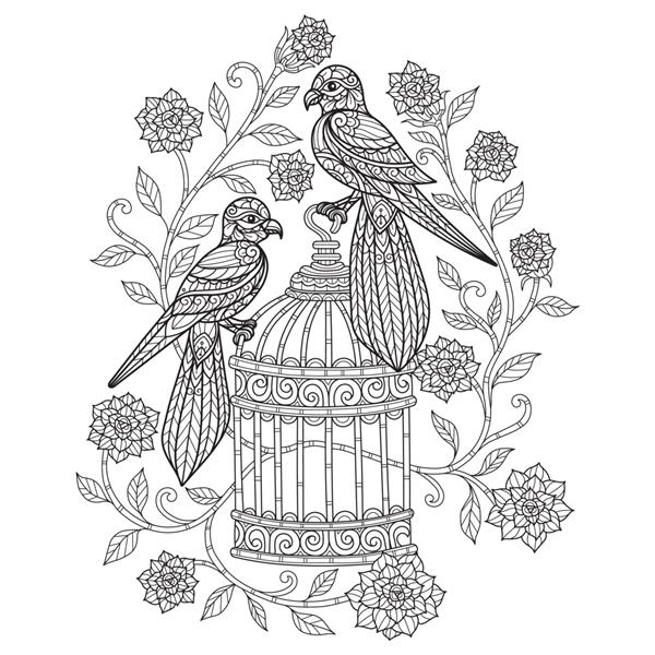 پرندگان و گل تصویر طراحی دستی برای کتاب رنگ آمیزی بزرگسالان