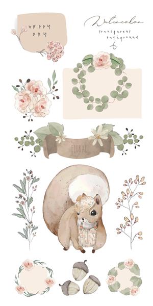 مجموعه ای از سنجاب آبرنگ گل برگ و دست وحشی طبیعی